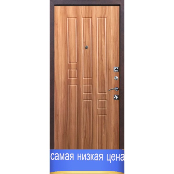 Дверь стальная Гарда 8мм Кедр